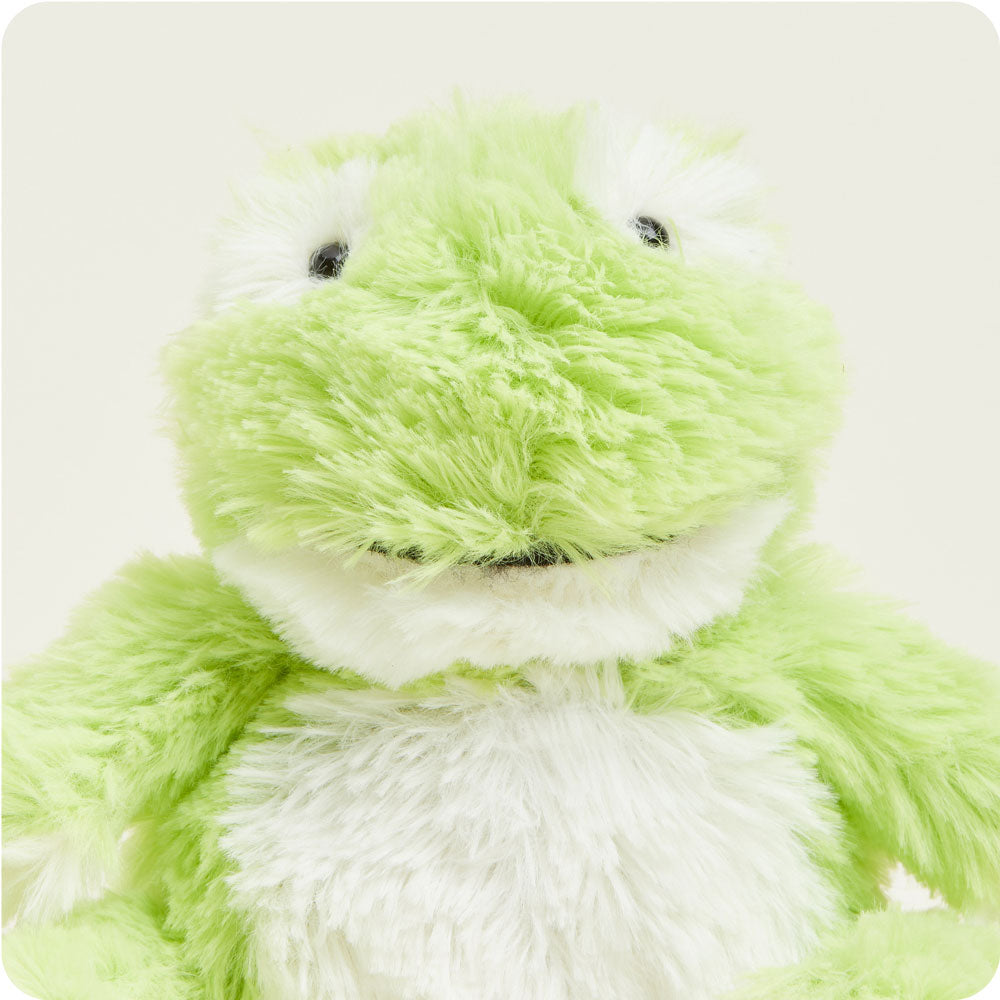 CPJ-FRO-1-Frog-Junior-03-2