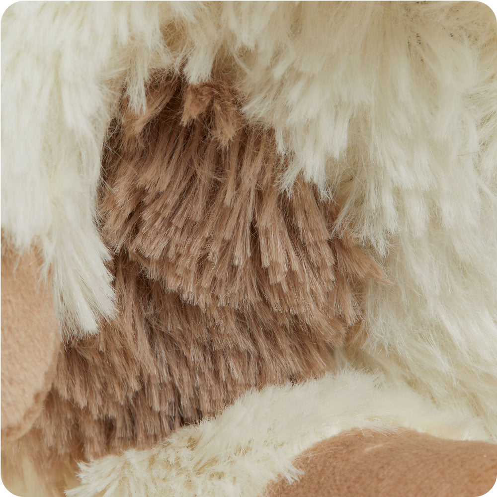 CPJ-PUP-1-Puppy-Junior-07-1